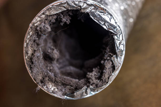 Best Commercial Air Duct Cleaning in Citrus Hills, FL